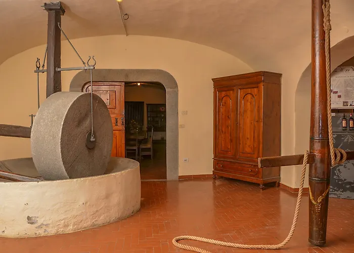 Talente San Casciano in Val di Pesa